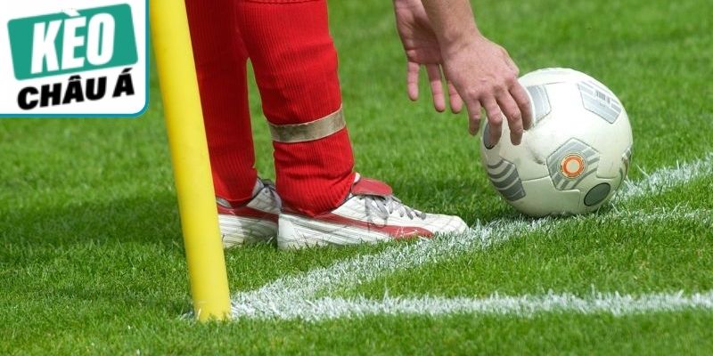 Kèo Phạt Góc - Khai Thác Hiệu Quả Cho Người Chơi Mới 3 Kinh nghiệm nâng cao hiệu quả khi theo cược