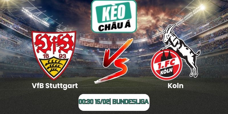 Soi kèo trận VfB Stuttgart vs Koln (00:30 15/02| Bundesliga)